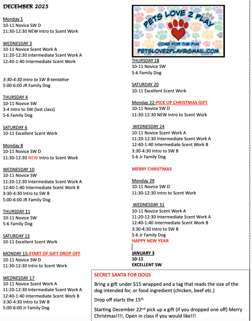 December Printable Calendar